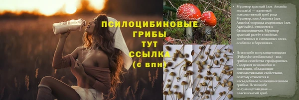 марки lsd Абаза