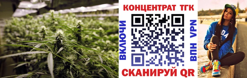 где купить   Торопец  omg сайт  ТГК Wax 