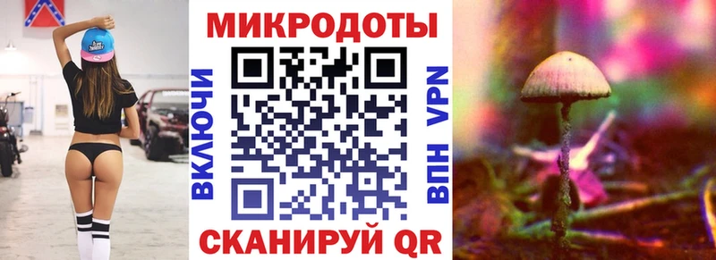 купить наркоту Торопец Псилоцибиновые грибы Psilocybe